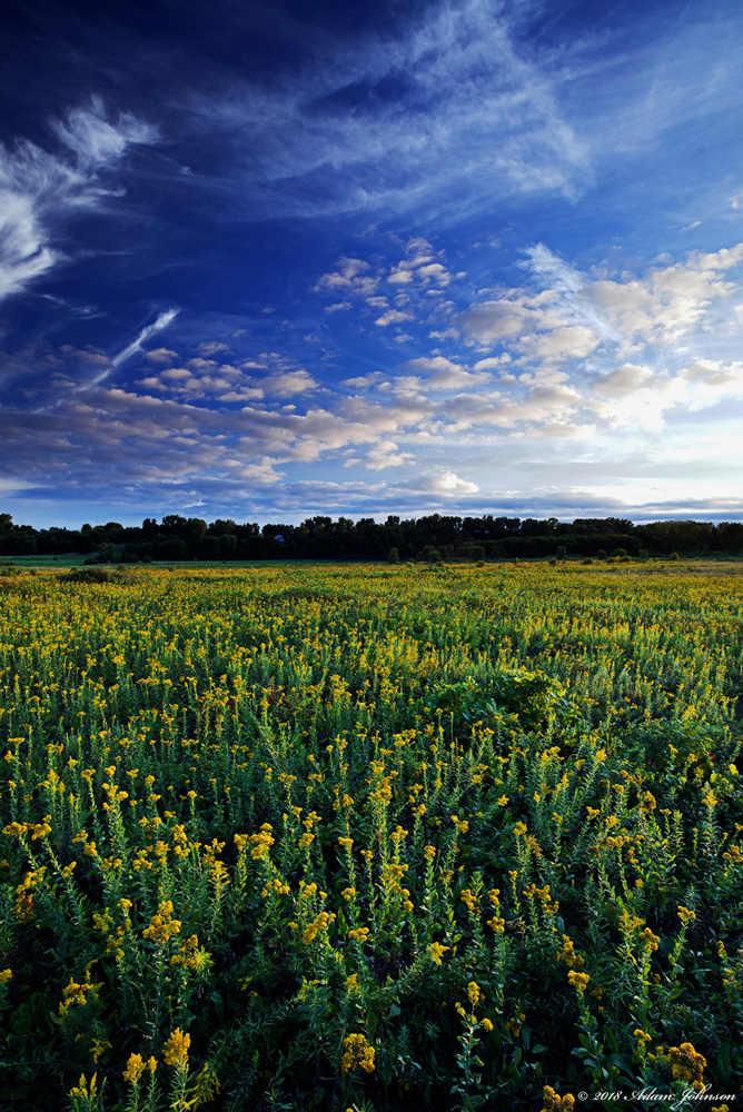 Minneopa State Park prairie