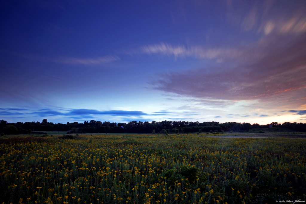 Looking south at sunset inside the bison enclosure