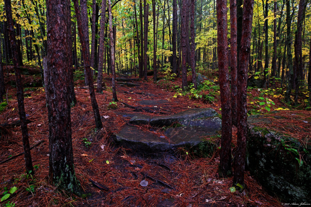 Wolf Creek Trail - Banning State Park