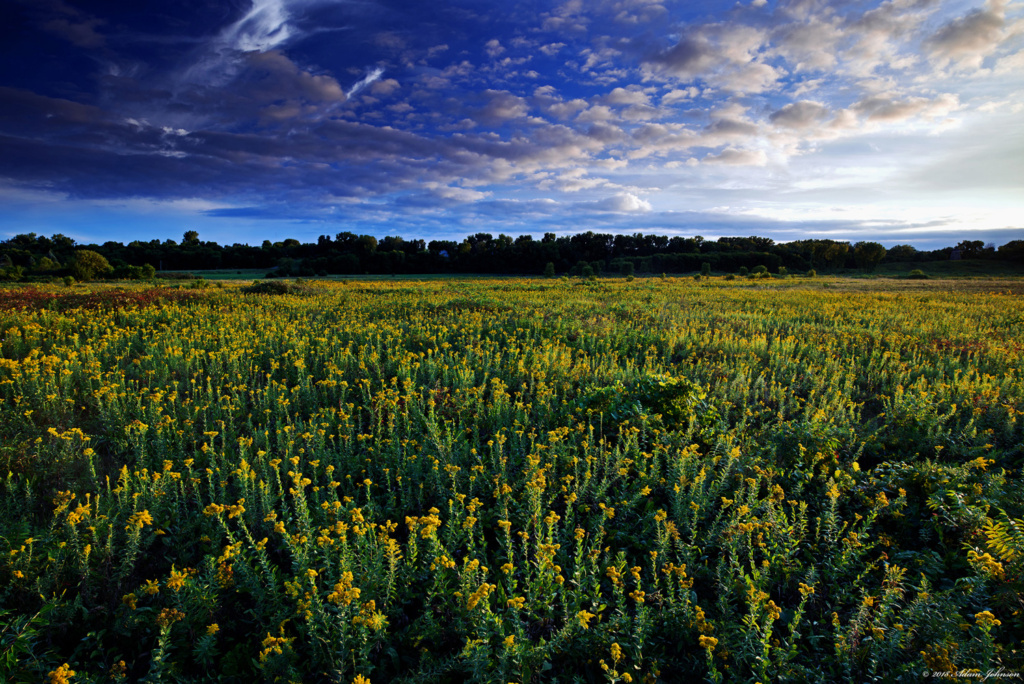 Minneopa State Park prairie