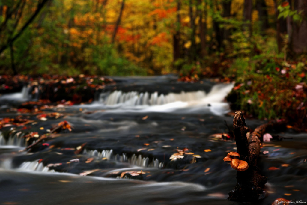 Wolf Creek - Banning State Park