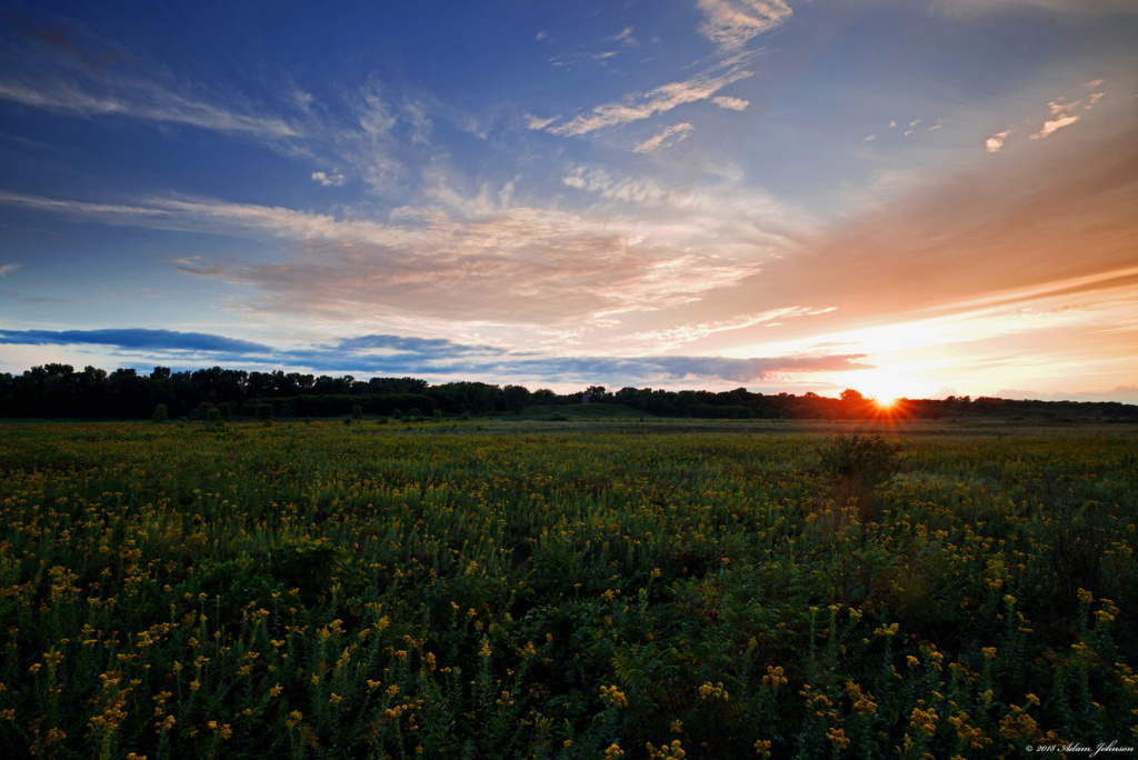 Sun setting in the bison enclosure