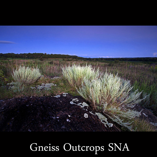 Gneiss Outcrops SNA