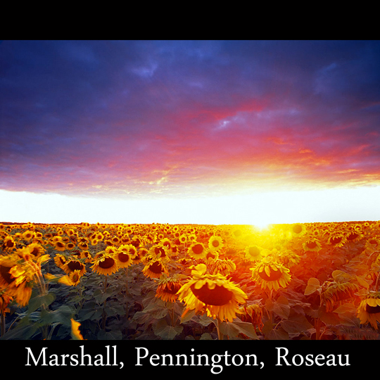 Marshall Pennington Roseau County Minnesota
