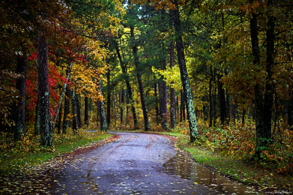 Fall colors along Head Of the Rapids Road at St. Croix State Park