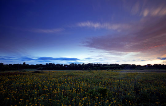 Looking south at sunset inside the bison enclosure at Minneopa State Park