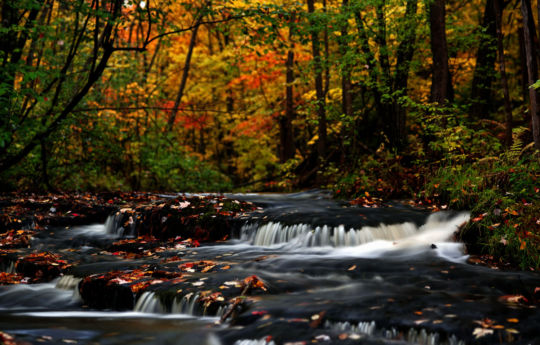 Wolf Creek - Banning State Park