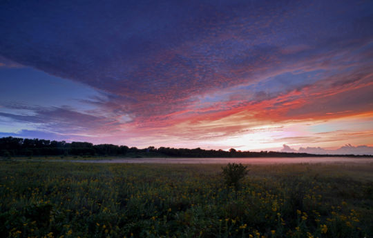 Fog over the prairie after sunset at Minneopa State Park