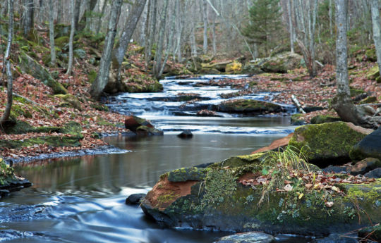 Wolf Creek Banning State Park