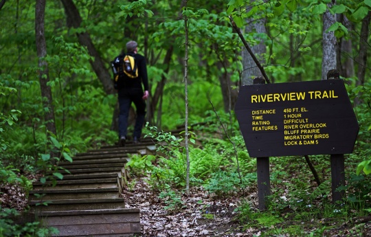 "Hiking the Riverview Trail" Walking up the steps of the Riverview Trail in spring - John A. Latsch State Park