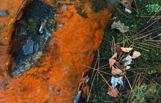 Iron seeping into Wolf Creek | Banning State Park