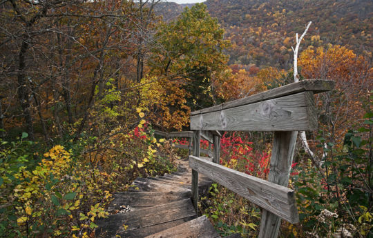 Looking back at the steps near the top of the bluff in fall - John A. Latsch State Park