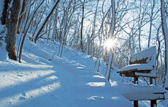 Snow covered steps at John A. Latsch State Park in January - John A. Latsch State Park