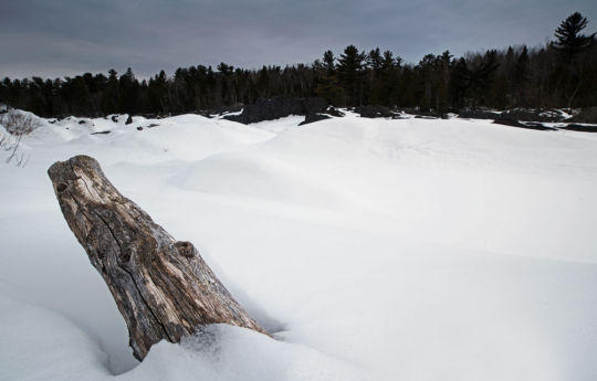 Log extending out from deep snow in the slate rock | Jay Cooke State Park