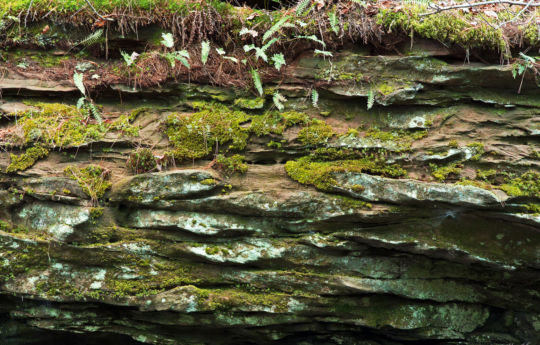Sandstone rock layers along Wolf Creek | Banning State Park