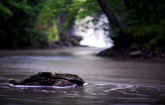 Minneopa Creek below the falls | Minneopa State Park