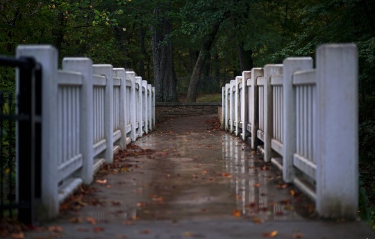 "Looking Across the Minneopa Creek Bridge" Looking across the Minneopa Creek bridge in the rain - Minneopa State Park