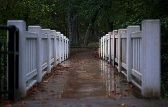 Looking across the Minneopa Creek bridge in the rain - Minneopa State Park