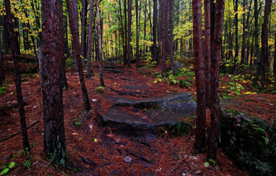 Wolf Creek Trail - Banning State Park