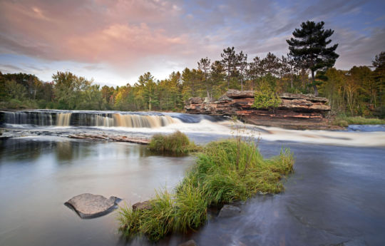 Tall wild grass surrounded by high water below Big Spring Falls | Big Spring Falls Banning State Park