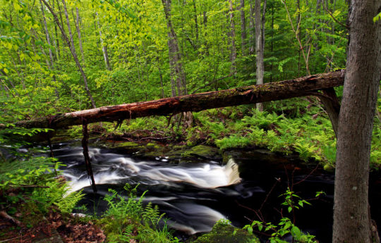 Wolf Creek in spring | Banning State Park