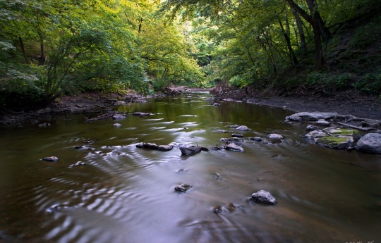 "Minneopa Creek in August" Low water during summer on Minneopa Creek | Minneopa State Park
