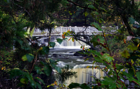 View of Minneopa Falls through the leaves along the ridge - Minneopa State Park