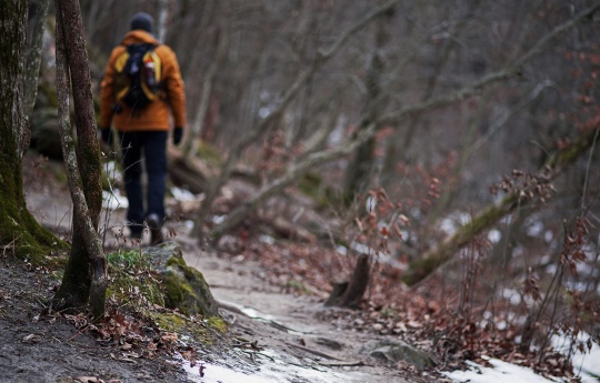 "Minneopa State Park Trail" Man hiking trail along Minneopa Creek in December | Minneopa State Park