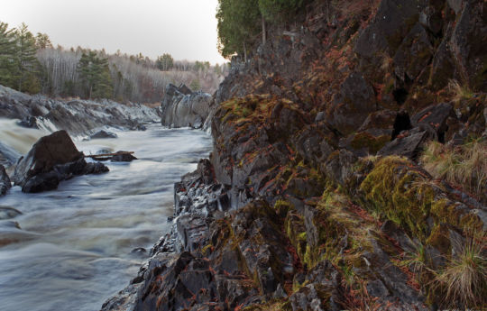 Moss growing on slate rock next to the Saint Louis River | Jay Cooke State Park