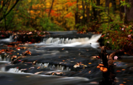 Wolf Creek - Banning State Park