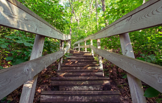 Wooden steps of the River View Trail leading to the top of the bluff | John A. Latsch State Park