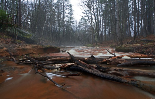 "Skunk Creek"
