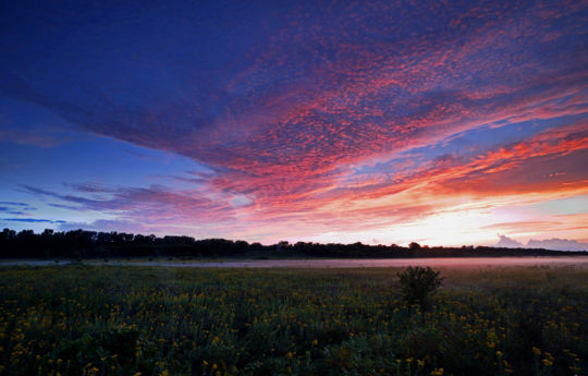 Fog reflecting orange from the sky after sunset at Minneopa State Park