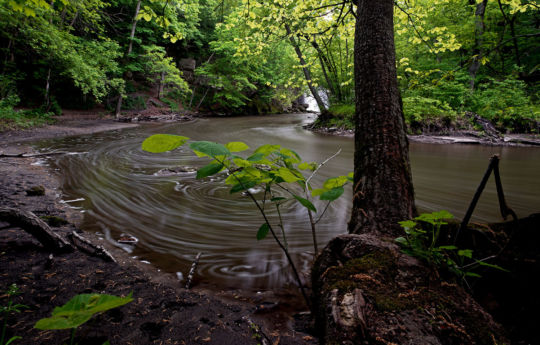 Minneopa Creek below the falls in spring | Minneopa State Park