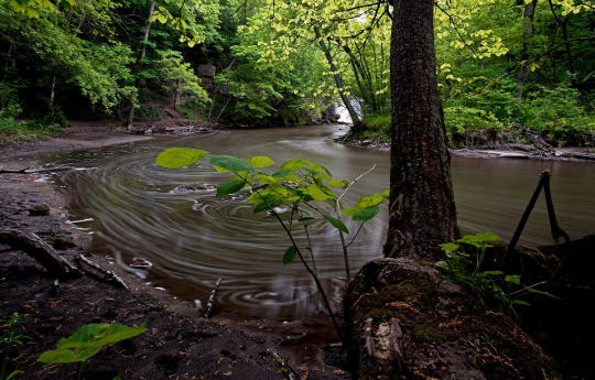 "The Greens of Spring" Minneopa Creek below the falls in spring | Minneopa State Park