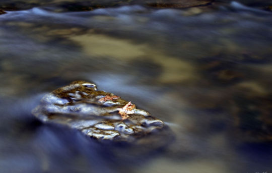 Leaves on a rock in Minneopa Creek on the last day of winter 2017 | Minneopa State Park