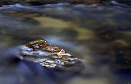 "The Last Day of Winter" Leaves on a rock in Minneopa Creek on the last day of winter 2017 | Minneopa State Park