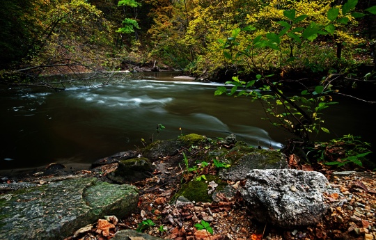 "The Rocky Banks Of Minneopa Creek" Minneopa Creek - Minneopa State Park