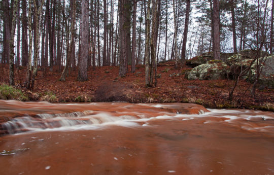 Skunk Creek Banning State Park