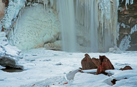 Dead tree trunk surrounded by ice in Minneopa Creek | Minneopa State Park
