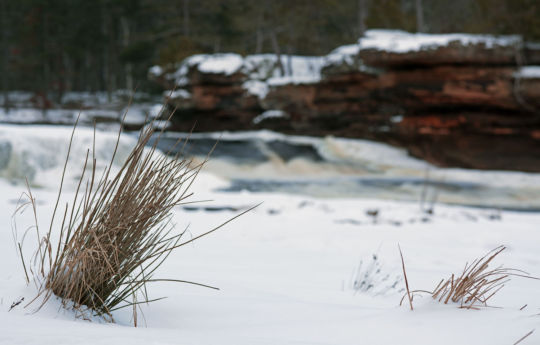 Snow and dry wild grass in winter at Big Spring Falls | Big Spring Falls Banning State Park