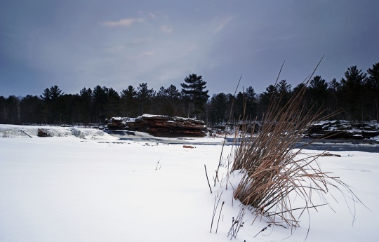 "Winter Contrast" Snow and dry wild grass in winter at Big Spring Falls | Big Spring Falls Banning State Park