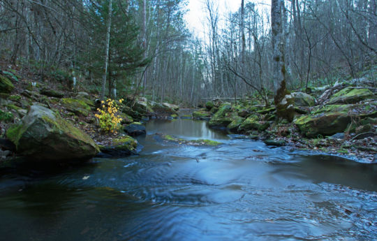 Wolf Creek | Banning State Park