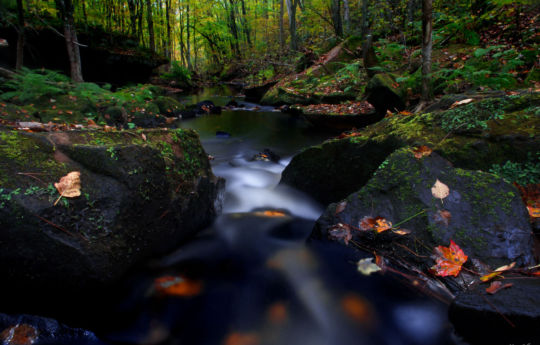 Wolf Creek fall colors | Banning State Park