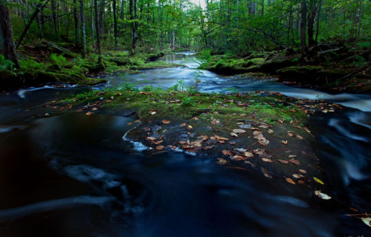 Wolf Creek upstream from Wolf Creek Falls | Banning State Park