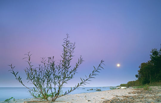 Full moon at the beach Zippel Bay State Park