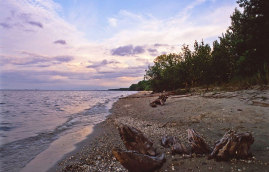 Lake of the Woods shoreline at Zippel Bay State Park