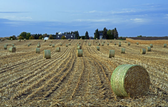 County Rd 50 at County Rd 53 south of Cologne, MN | Carver County MN