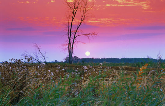 Sun setting on a hazy evening north of Roseau, MN | Roseau County