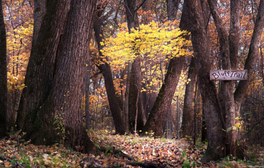 Beaver Falls County Park near Morton, MN | Renville County MN